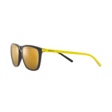 Arnette Fry Negro / Oro Espejo AN4301 27975A 55