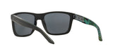 Lentes Arnette Witch Doctor Fuzzy Black Green /Grey Polarized AN4177 222981