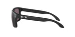 Lentes Oakley Holbrook Matte Black / Prizm Grey OO9102-E8